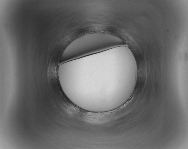 X0000113040045200909171530