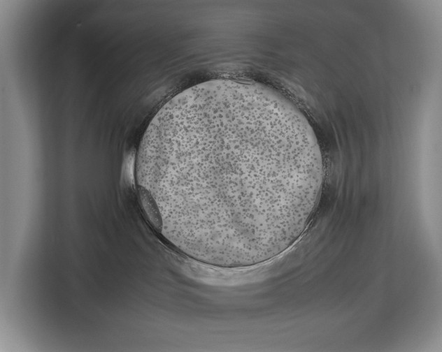 X0000113040047200909171530
