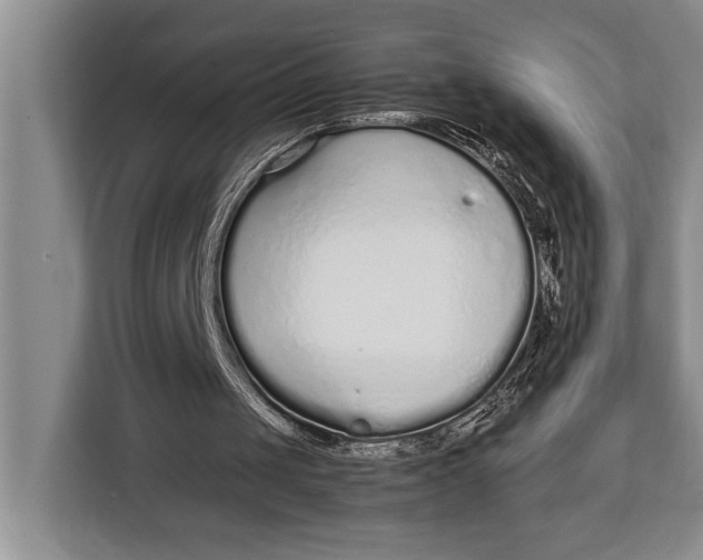X0000113040049200909171529