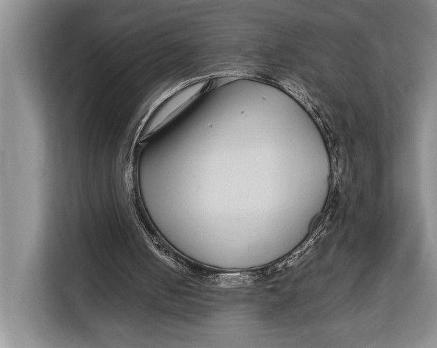 X0000113040050200909171529