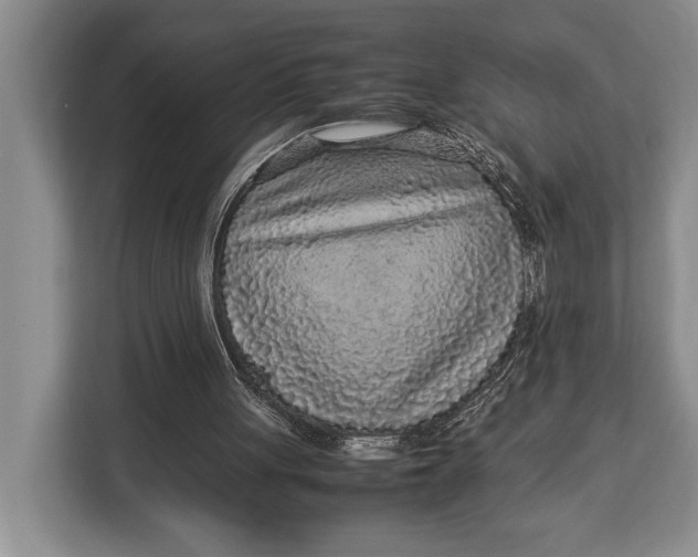 X0000113040051200909171529