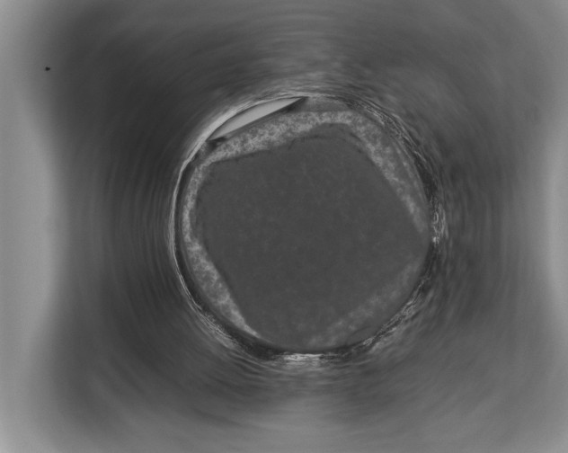 X0000113040052200909171529