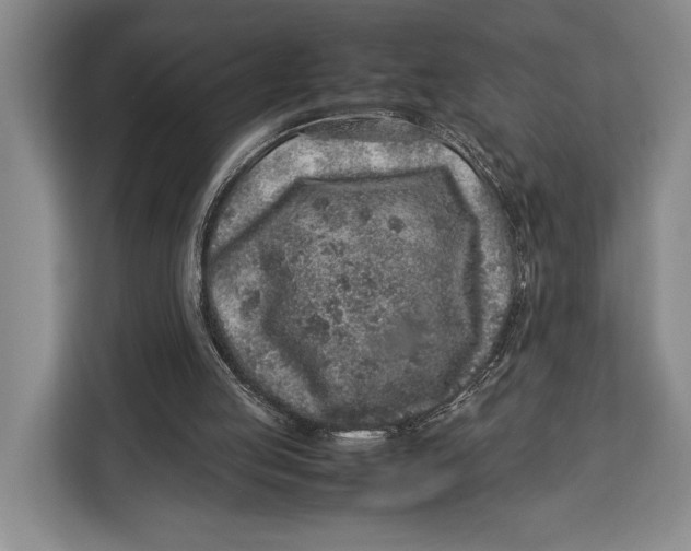 X0000113040053200909171529