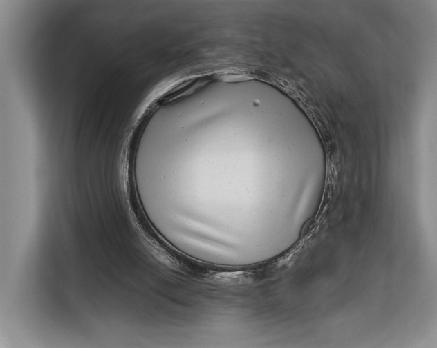 X0000113040054200909171529