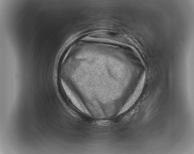 X0000113040055200909171529