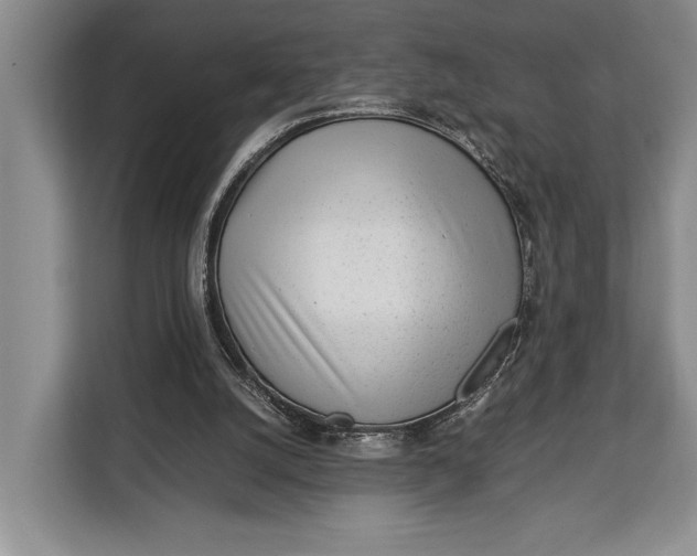 X0000113040056200909171529