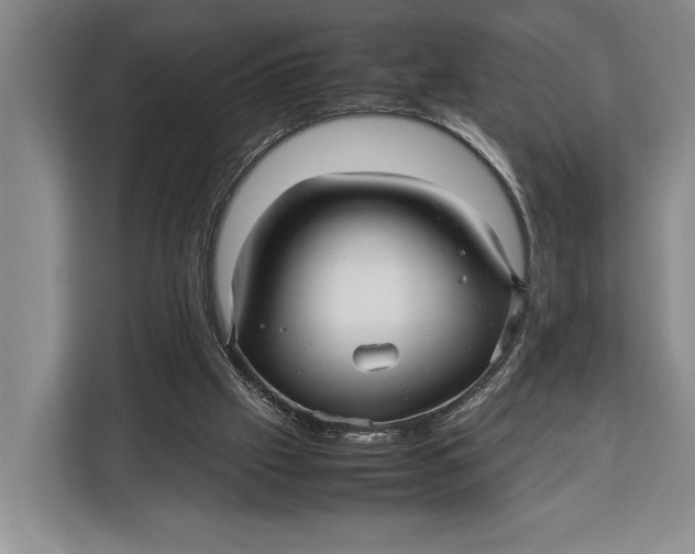 X0000113040057200909171529