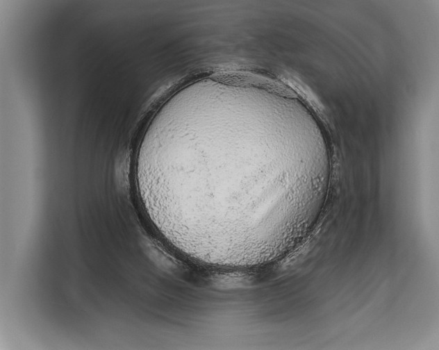X0000113040058200909171529