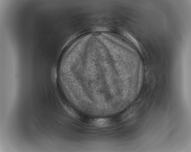 X0000113040059200909171529