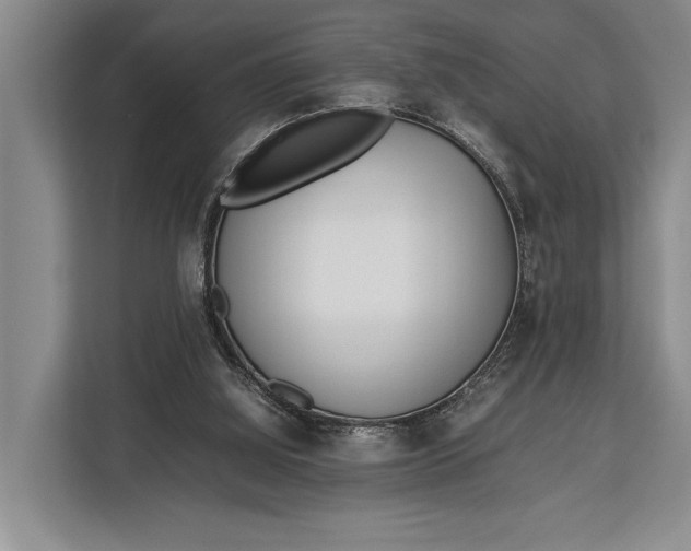 X0000113040060200909171529