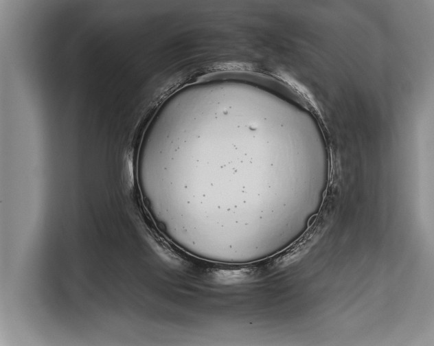 X0000113040061200909171529