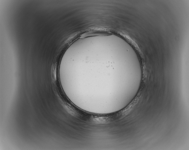 X0000113040062200909171529