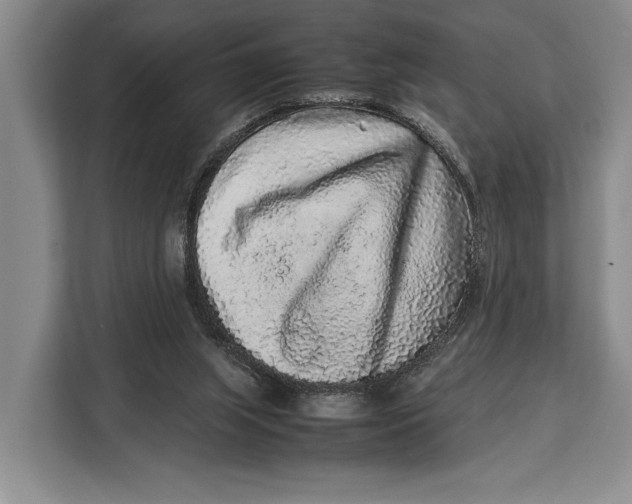 X0000113040063200909171529