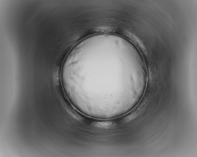 X0000113040065200909171529