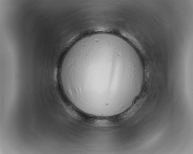 X0000113040066200909171529