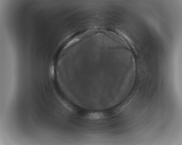 X0000113040067200909171529