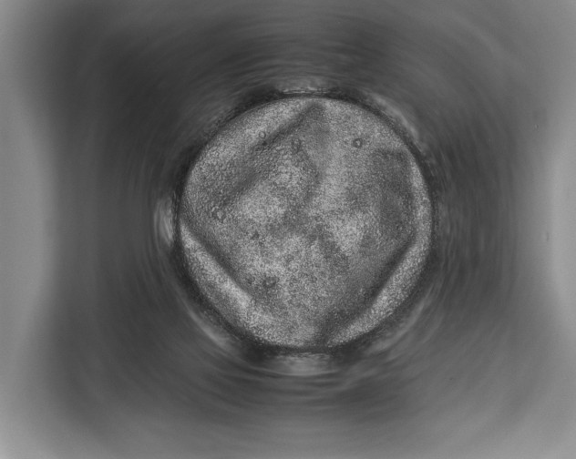 X0000113040069200909171529