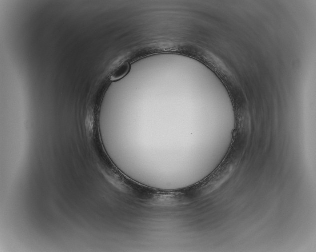 X0000113040072200909171529