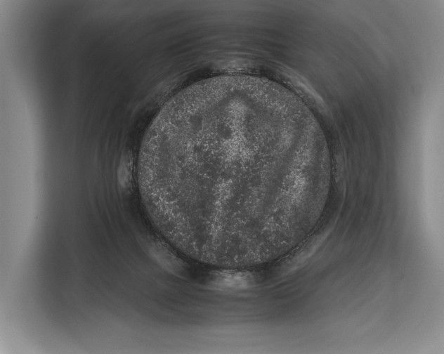 X0000113040073200909171529