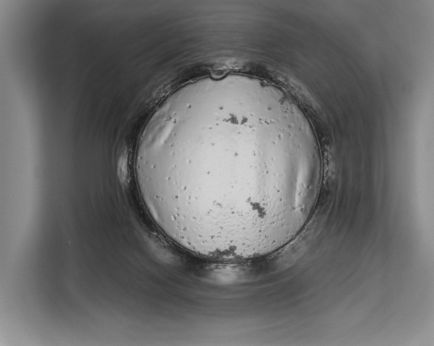 X0000113040074200909171529