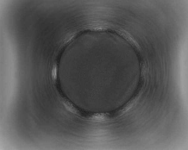 X0000113040076200909171529