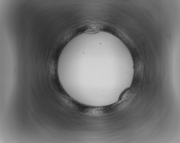 X0000113040078200909171529