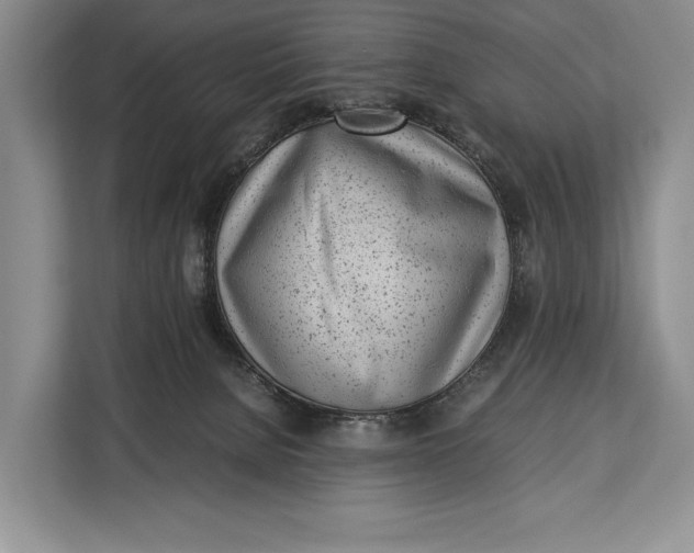 X0000113040080200909171529