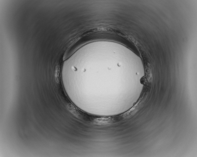 X0000113040082200909171529