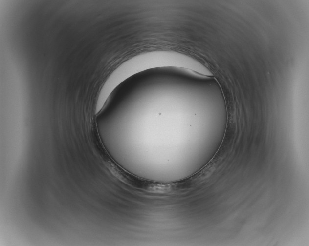 X0000113040084200909171529