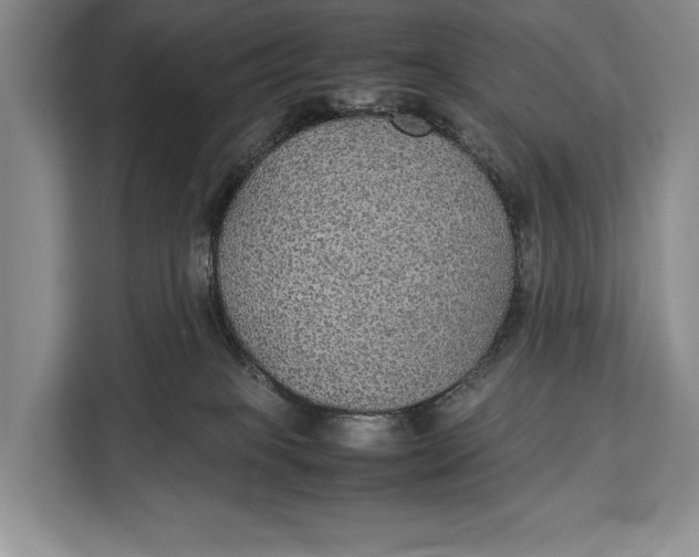 X0000113040085200909171529