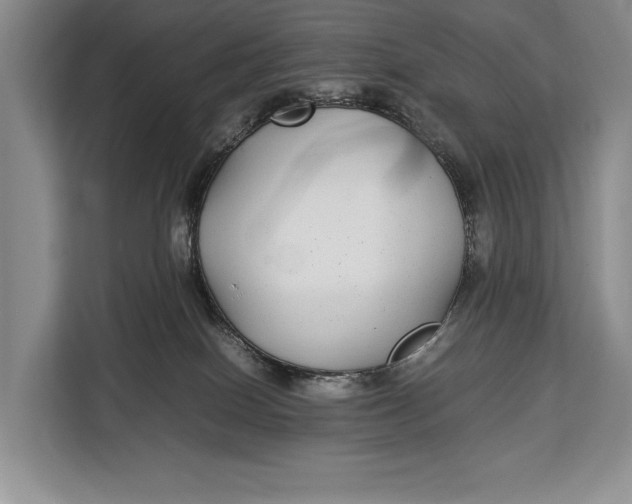 X0000113040086200909171529