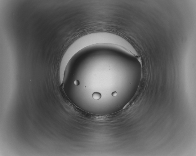 X0000113040088200909171529