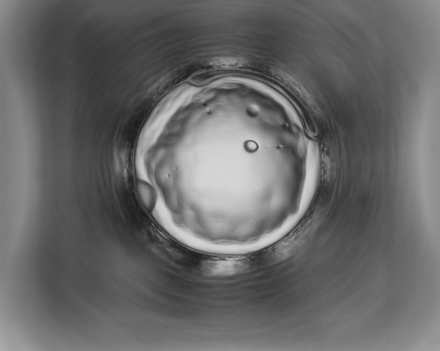 X0000113040093200909171530