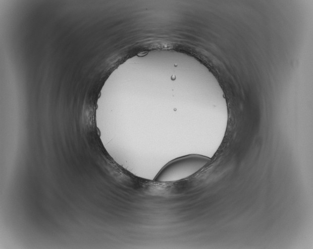 X0000113040096200909171530