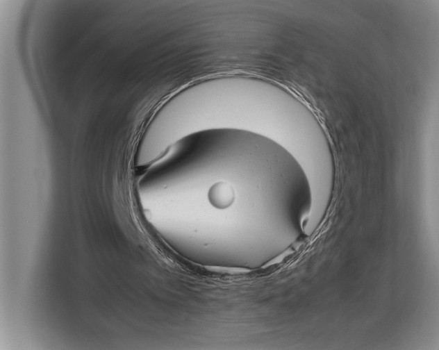 X0000113040097200909171529