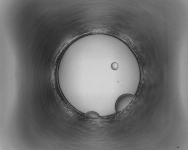 X0000113040098200909171529