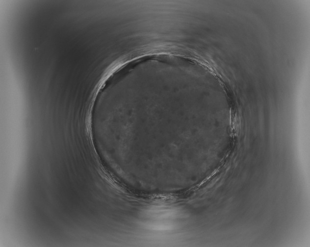 X0000113040099200909171529