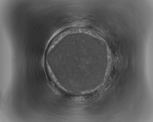 X0000113040100200909171529