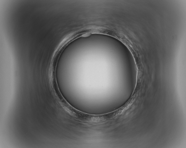 X0000113040101200909171529