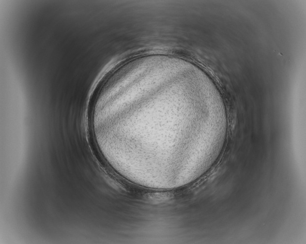 X0000113040102200909171529