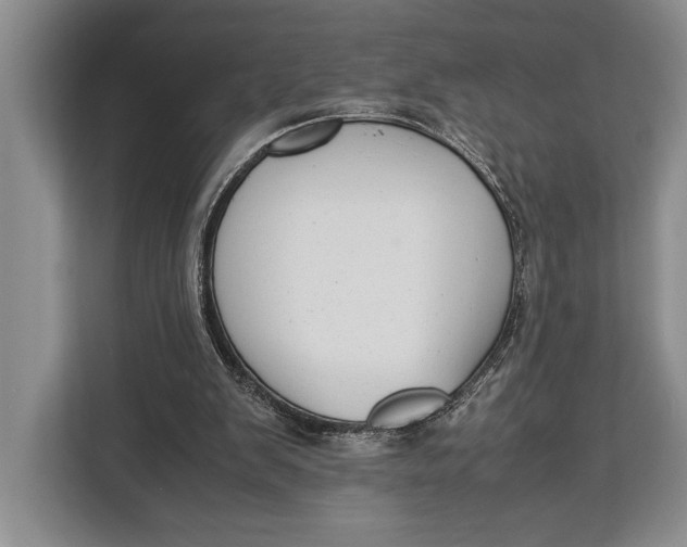 X0000113040103200909171529