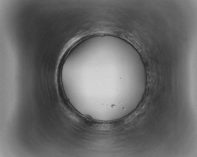X0000113040104200909171529