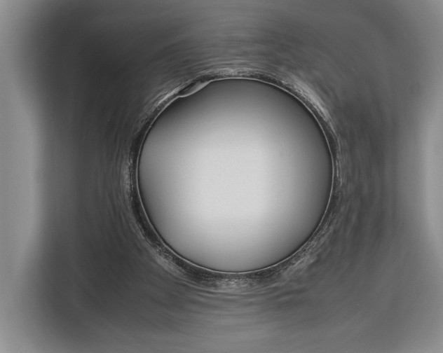 X0000113040105200909171529