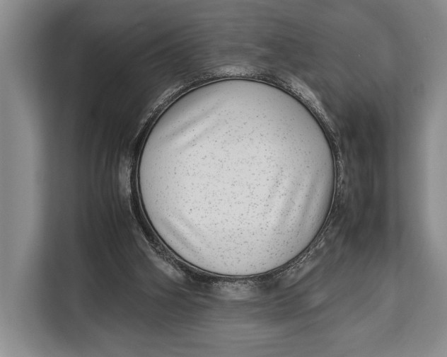 X0000113040106200909171529
