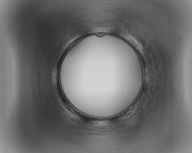 X0000113040107200909171529
