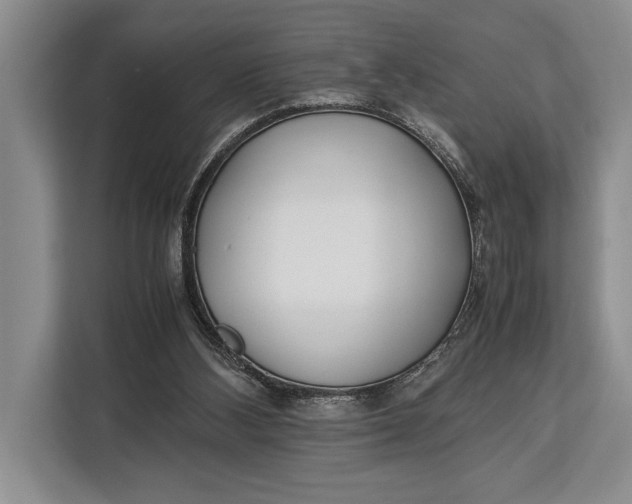 X0000113040108200909171529