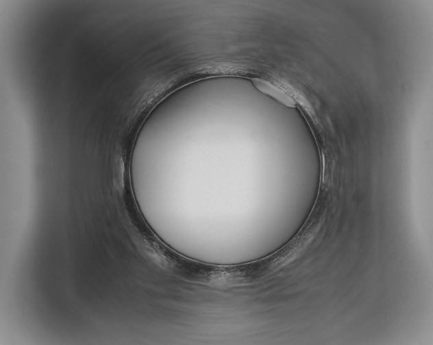 X0000113040109200909171529