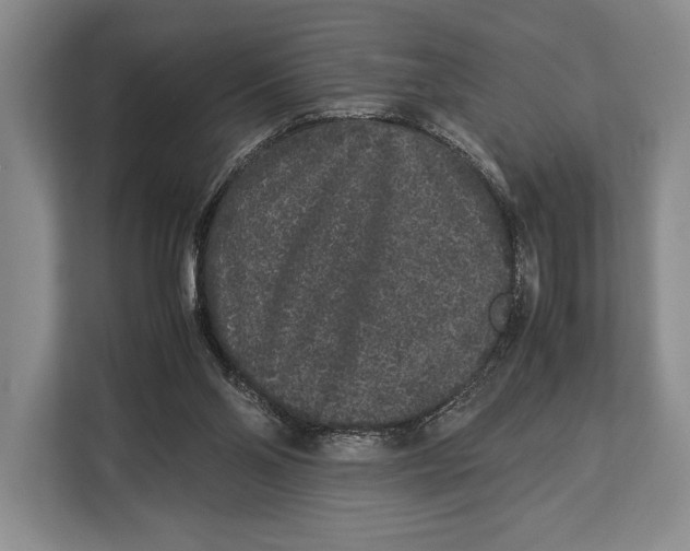 X0000113040110200909171529