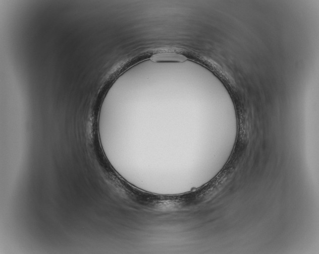 X0000113040111200909171529