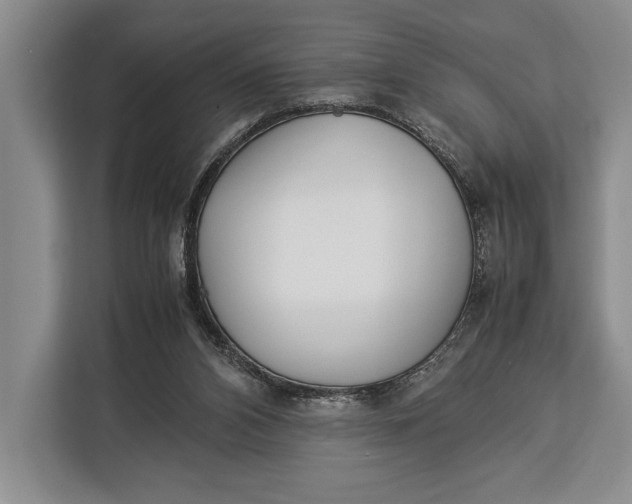 X0000113040112200909171529
